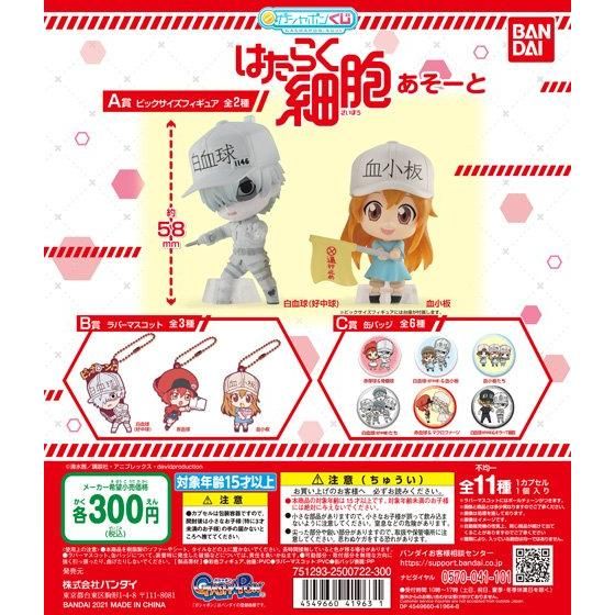 【2021年1月 第5週発売】はたらく細胞　あそーと