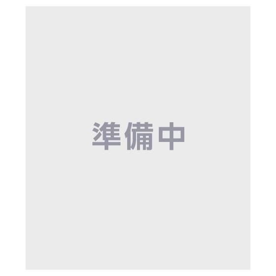 劇場版 魔法少女まどか☆マギカ新編叛逆の物語 ガシャポンカンタペストリー