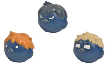 ハイキュー プライズ